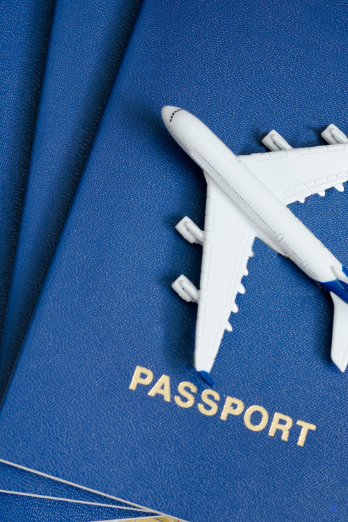 VISA & TRAVEL PROCESSING